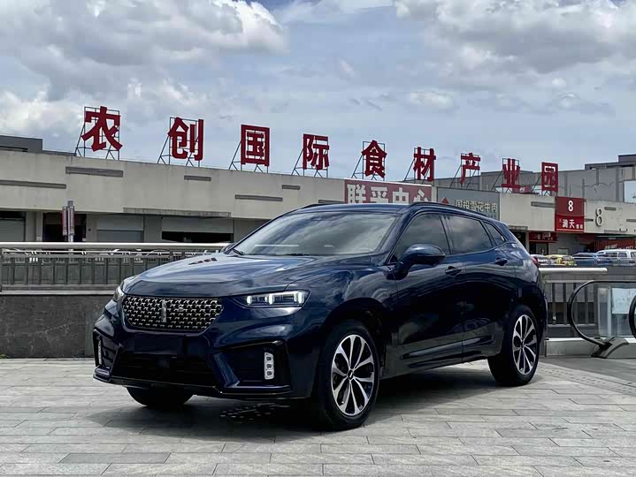 2021 WEY VV7 2020 Model 2.0T Super Hao Model