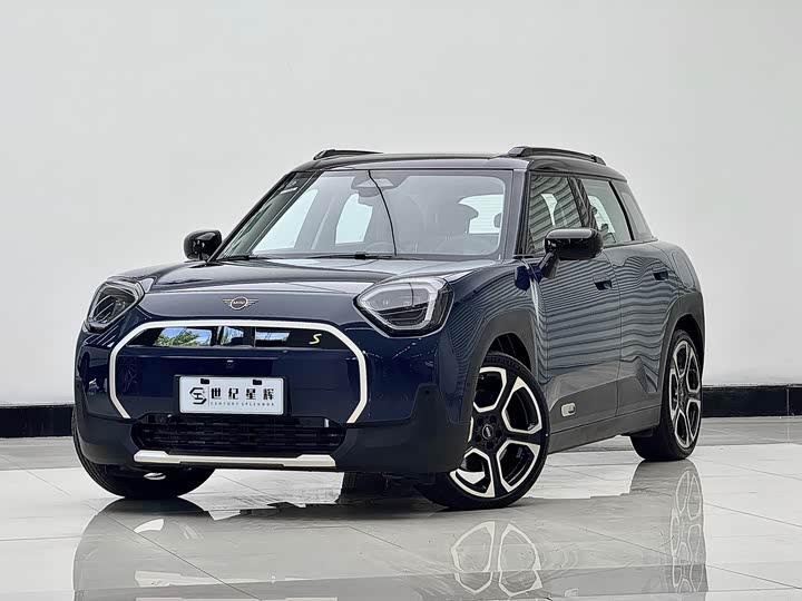 ElectricMINI ACEMAN 2024 Model SE Artist