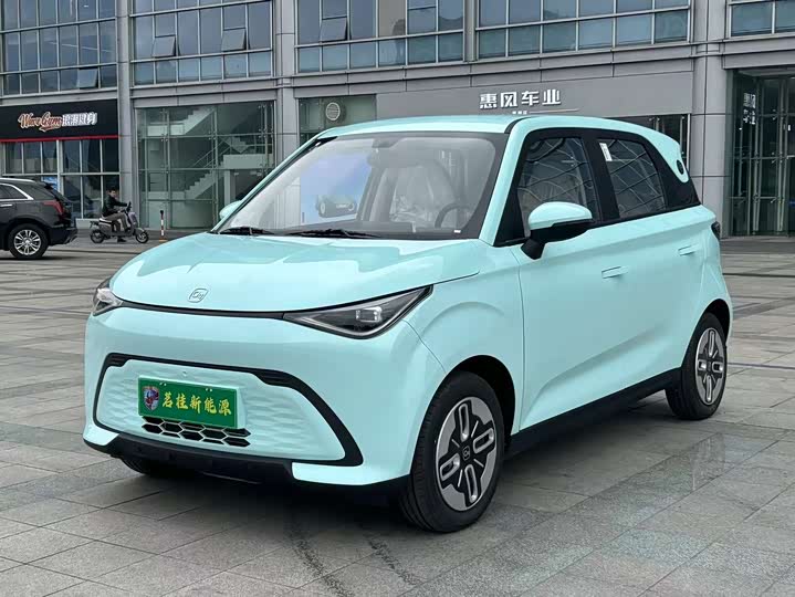 Duomi 2025 Model 305km Shuxiang Model