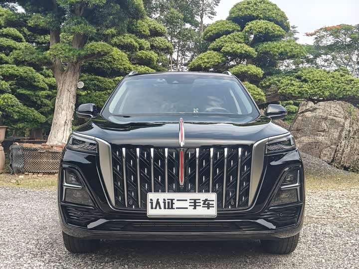 2024 Hongqi HS5 2025 2.0T 2WD Qixiang Pro Edition