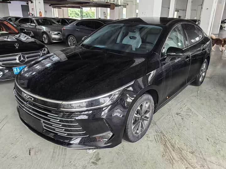 Destroyer 05 2023 Model Champion Edition DM-i 55KM LuxuryModel