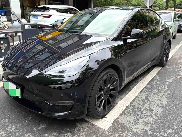 Model Y 2021 standard range rear-wheel drive version