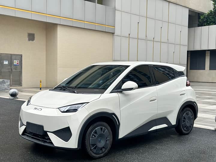 Seagull 2025 Model Intelligent Driving Edition 305km Vitality Edition