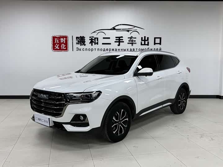 Haval H6 2021 Model Guochao Edition 1.5T Automatic Urban Edition