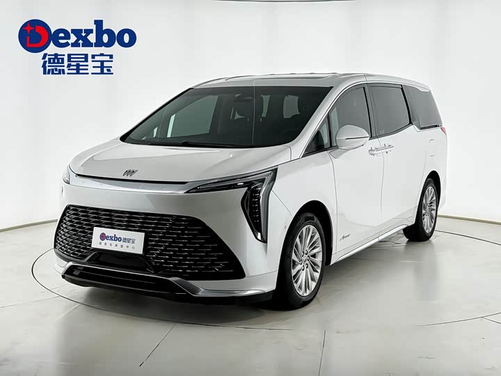 Century 2023 2.0T Six-Seater Yunshi Edition