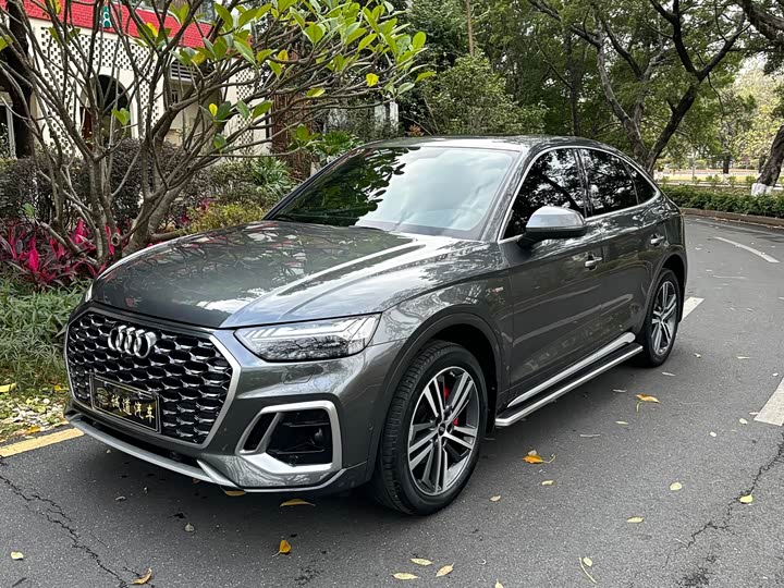 2021 AudiQ5L Sportback 2021 Model 45 TFSI LuxuryModel