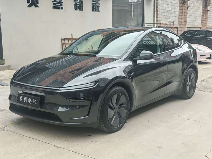 2025 Model Y Long Range All-Wheel Drive