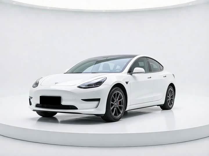 Model 3 2022 model rear-wheel drive version