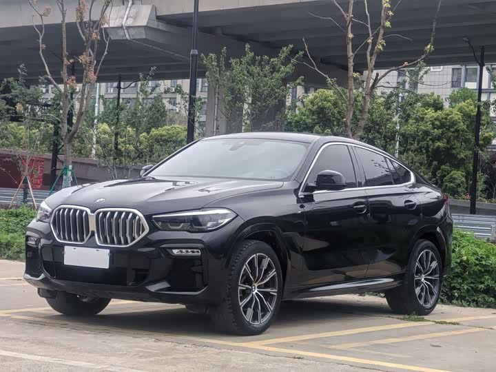 2021 BMW X6 2021 xDrive30i M Sports Package