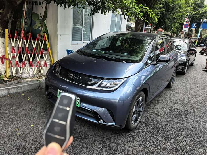 Dolphin 2024 Honor Edition 420km Free Edition