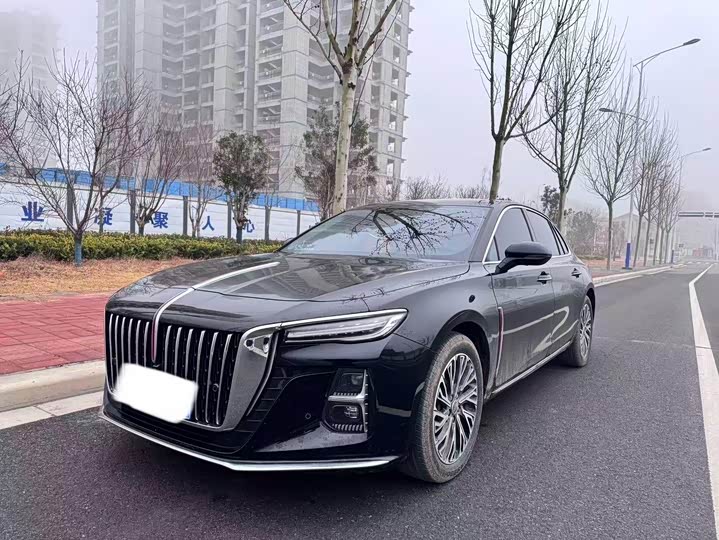 HongqiH5 2025 Model 2.0T Automatic Qichang Edition