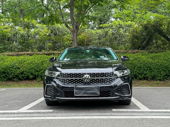 2022 Passat 2022 330TSI Starry Sky Deluxe Edition