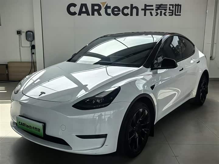 Model Y 2021 standard range rear-wheel drive version