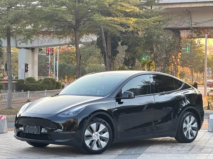 2021 Model Y 2021 standard range rear-wheel drive version