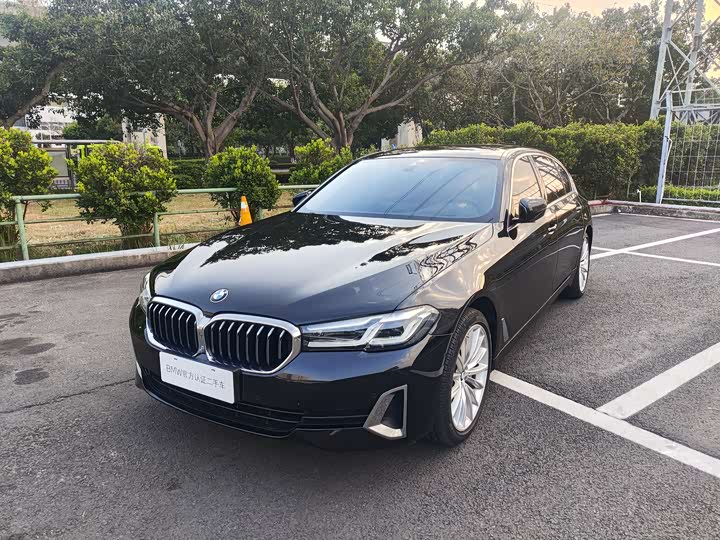 2021 BMW 5 Series 2021 530Li Luxury Line