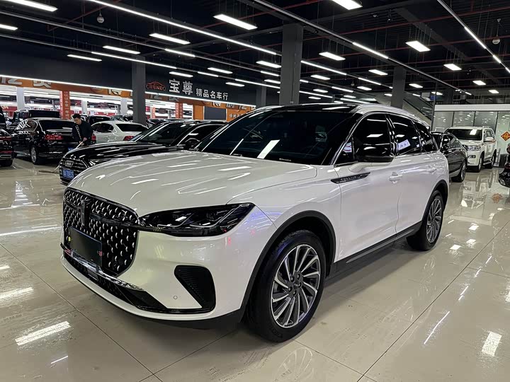 2023 Adventurer 2023 2.0T Two-wheel drive Premium Edition