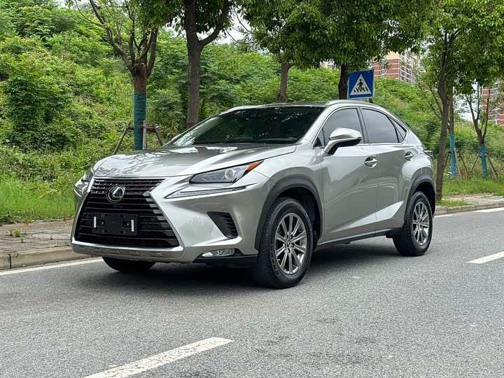 Lexus NX 2020 200 AWD Fengshang Edition National VI