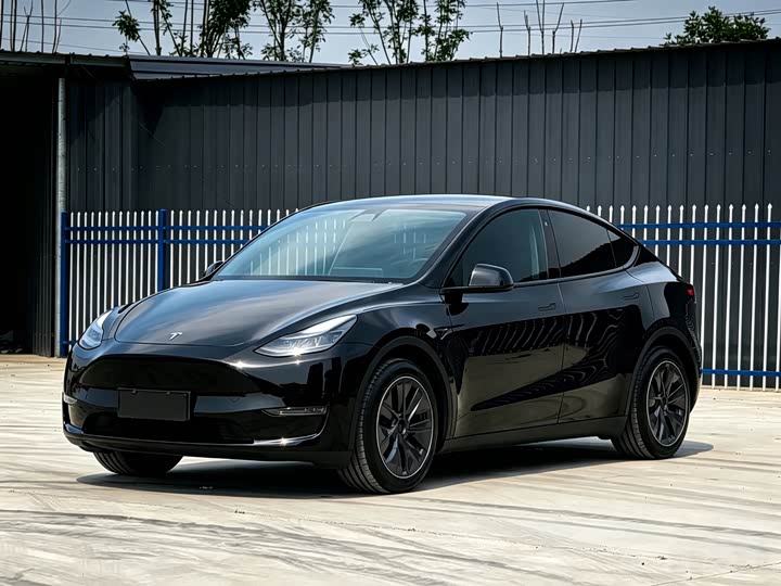 Model Y 2021 standard range rear-wheel drive version