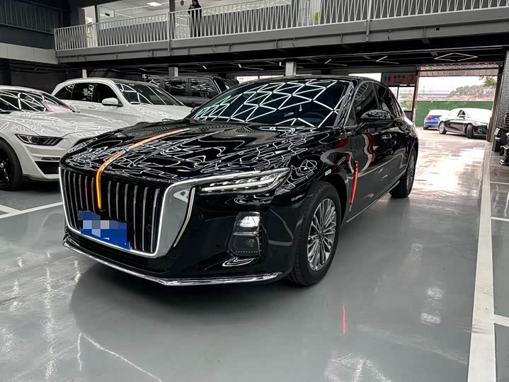 Hongqi H5 2025 2.0T automatic Qichang version