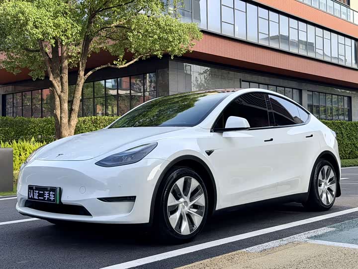 Model Y 2021 model standard range rear-wheel drive version 