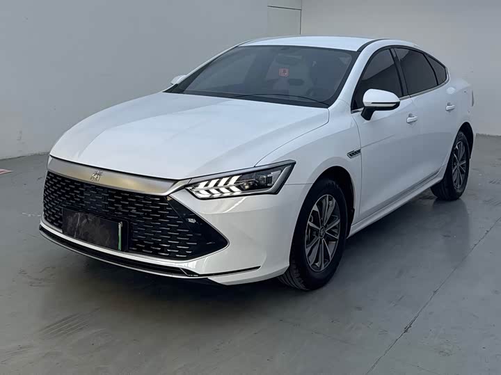 2024 Qin PLUS 2024 Honor Edition DM-i 55KM Leading Type