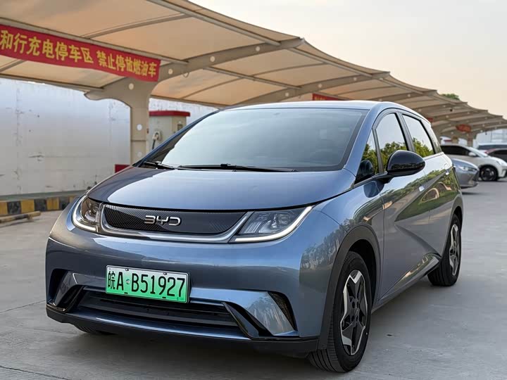 2024 Dolphin 2025 420km Vitality Edition