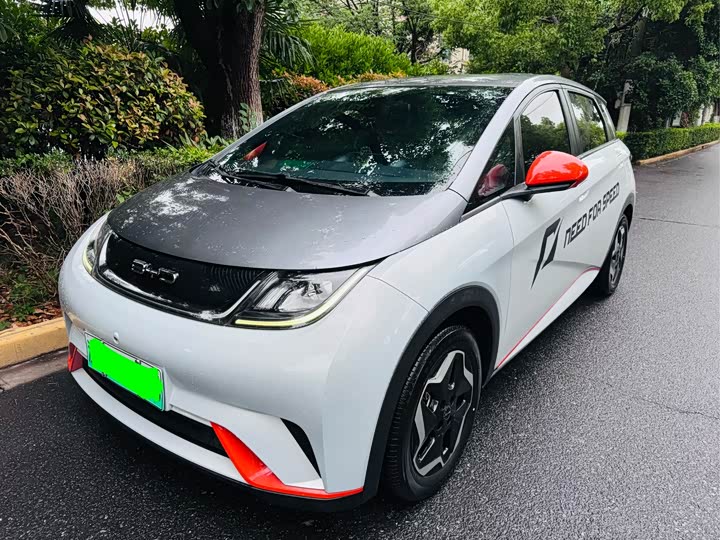 Dolphin 2023 Model 420km Free Edition