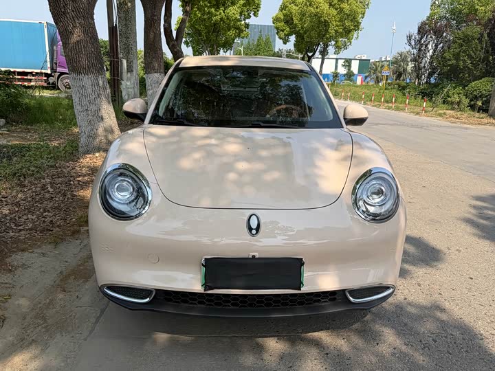 Euler Good Cat 2024 Model 401km Shuxiang Model