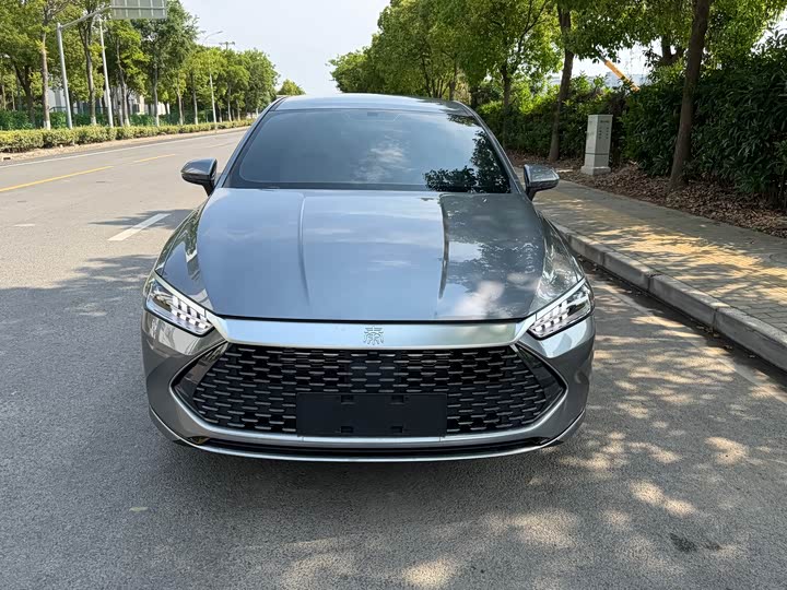 2024 Qin PLUS 2024 Honor Edition DM-i 55KM Leading Type