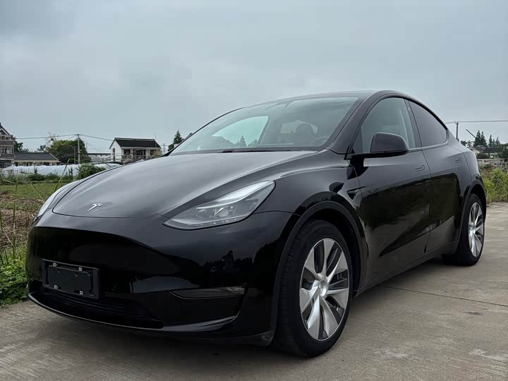 2021 Model Y 2021 standard range rear-wheel drive version