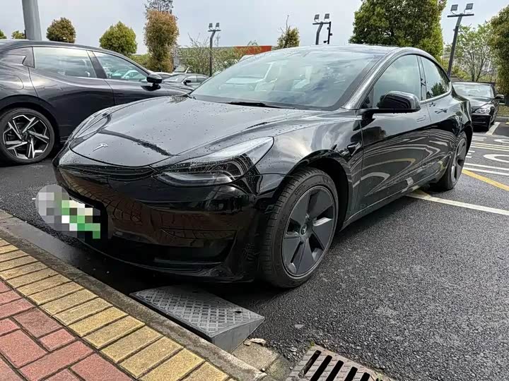 Model 3 2022 rear-wheel drive version