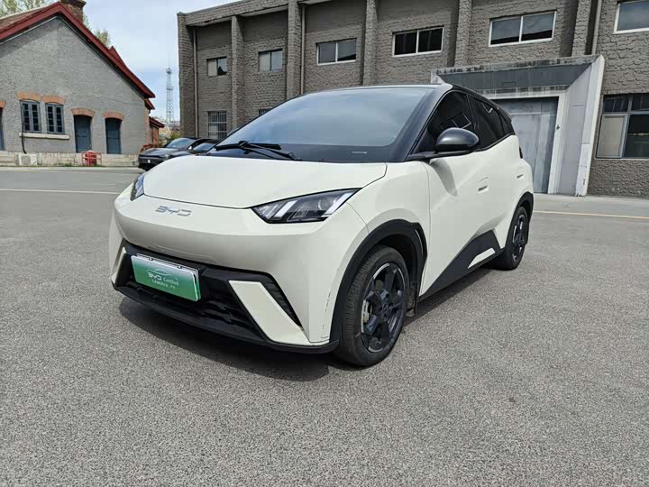 2024 Seagull 2023 Model Flying Edition