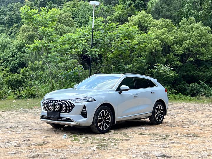 2021 WEY Mocha 2021 Model 2.0T Two-wheel drive Special Edition