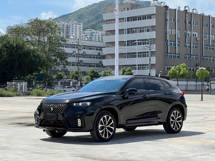 2021 WEY VV7 2020 2.0T Super Luxury