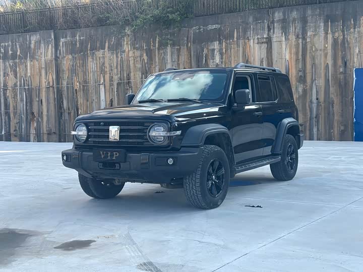 2021 Tank 300 2021 Off-Road Version 2.0T Conqueror