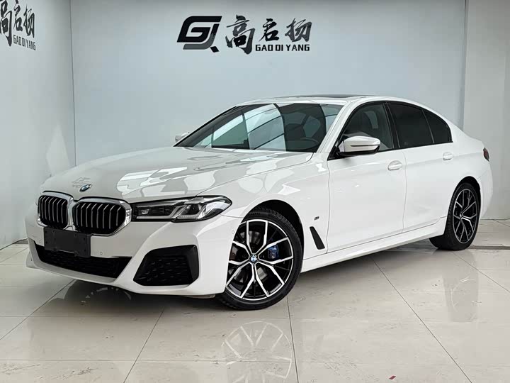 5() 2021 Model 530i M