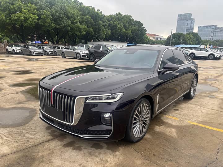 H9 2020 Model 2.0T Edition