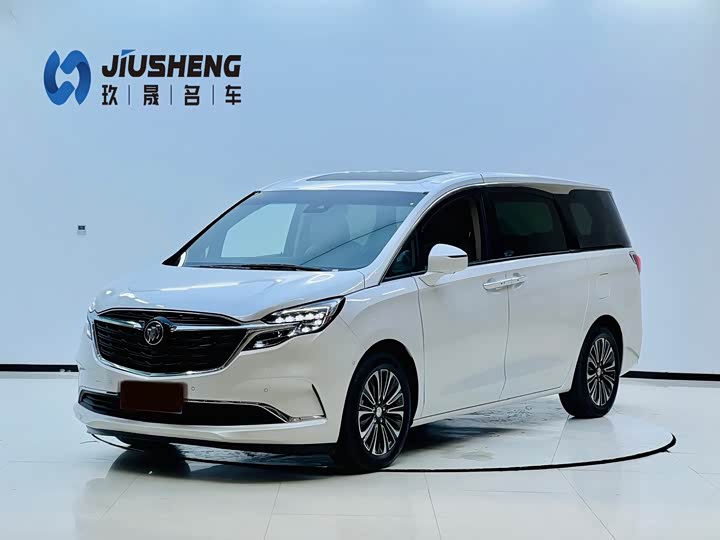 Buick GL8 2021 model ES Luzun 653T luxury model 