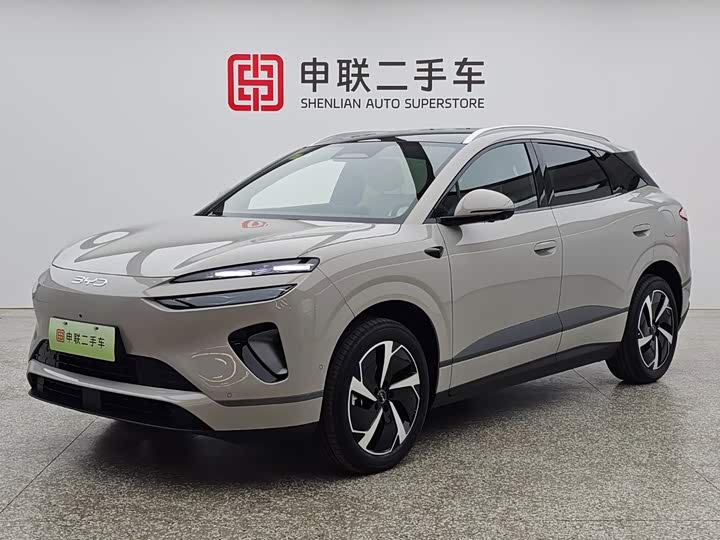 06 2025 Model DM-i 205Pro Edition