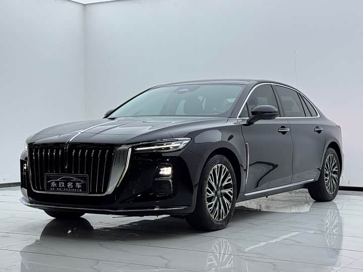 Hongqi H5 2024 2.0T Automatic Zhilianqichang Edition