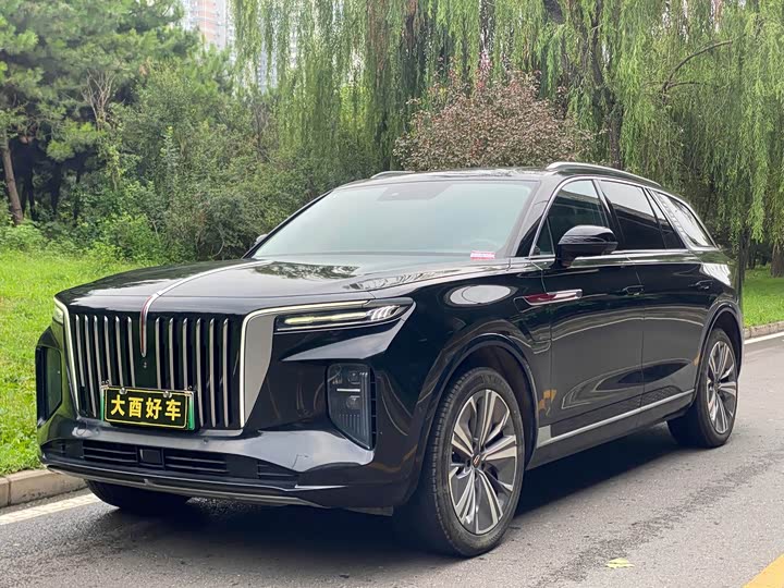 E-HS9 2021 Model 460km Edition