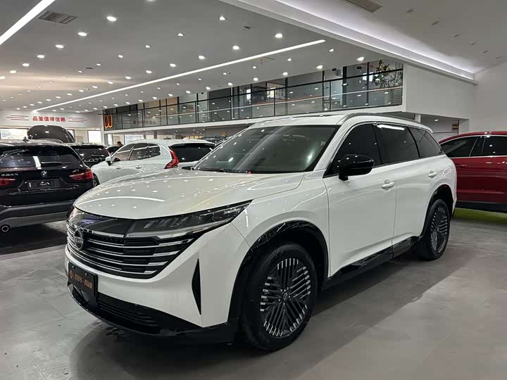 2024 Tanlu 2024 380VC-TURBO four-wheel drive Zhizun Edition 6 seats