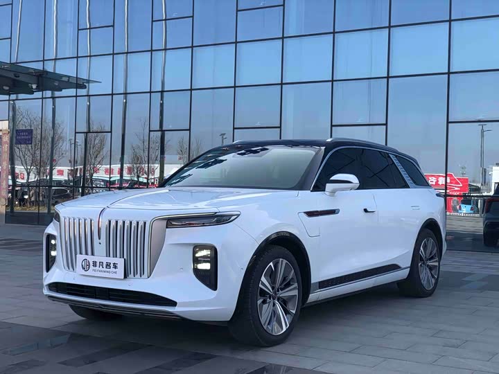 E-HS9 2021 Model 510km Edition