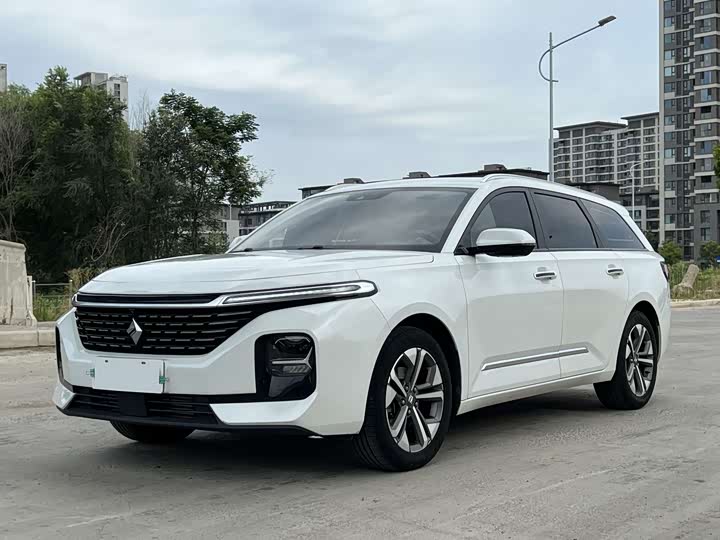 Baojun Valli 2021 1.5T Naquxing CVT flagship model