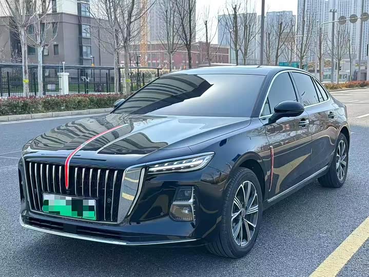 H5 PHEV 2025 Model 170 Edition