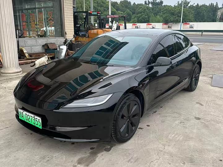 Model 3 2025 rear-wheel drive version