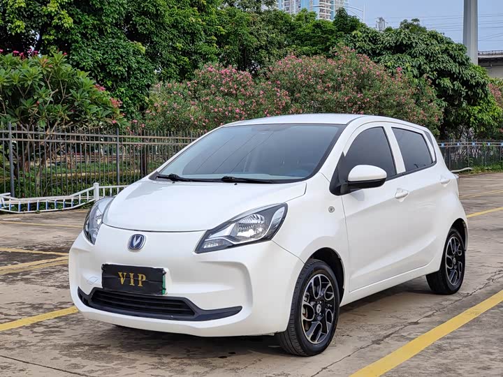 E-Star 2021 Model Edition Model （31.95kWh）