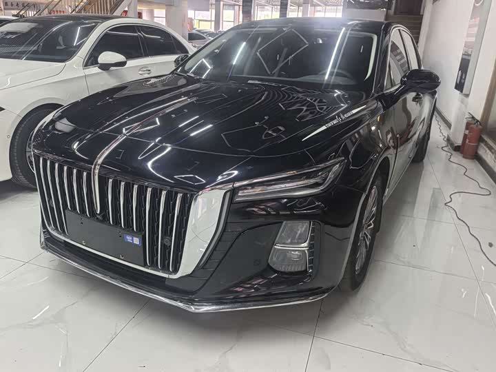 H5 2024 Model 1.5T DCT Edition