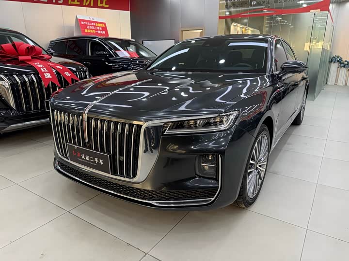 H9 2020 Model 2.0T Edition