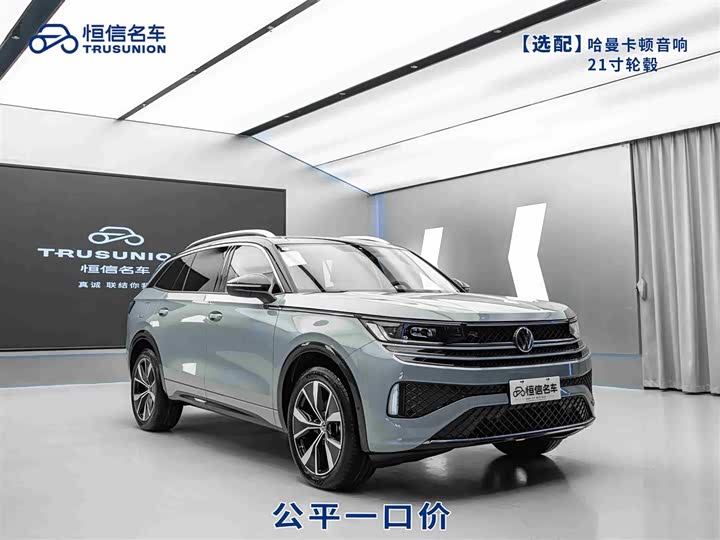 Lan Xun 2023 model 380TSI four-wheel drive R-Line cruise version